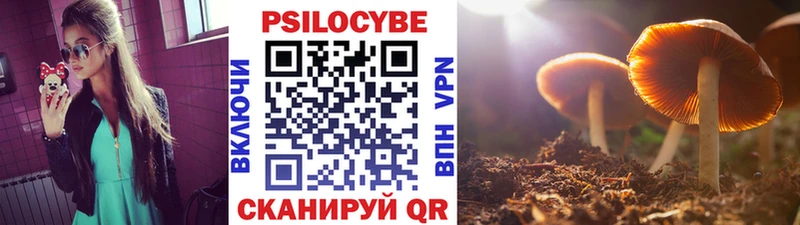 Псилоцибиновые грибы Magic Shrooms  Приозерск 